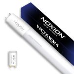 Noxion Avant LED Röhre T8 Extreme (EM Mains) High Output 17W 2700lm - 865 Tageslichtweiß | 150cm - Ersatz Für 58W