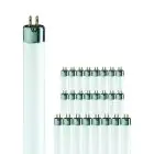 Mehrfachpackung 25x Philips TL Mini 8W 33-640 | 29cm - Kaltweiß
